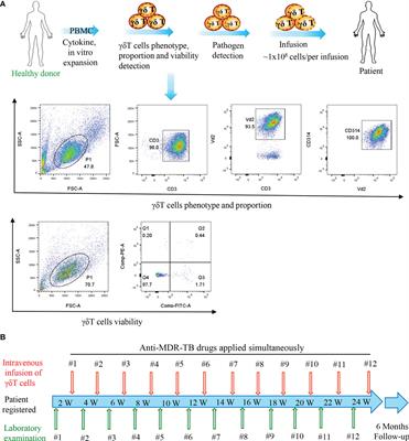 Allogeneic Vγ9Vδ2 T-Cell Therapy Promotes Pulmonary Lesion Repair: An Open-Label, Single-Arm Pilot Study in Patients With Multidrug-Resistant Tuberculosis